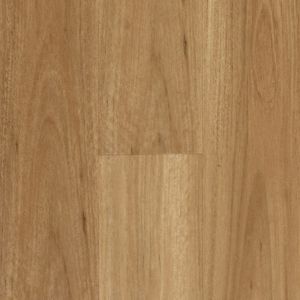 Hydroplank | Blackbutt