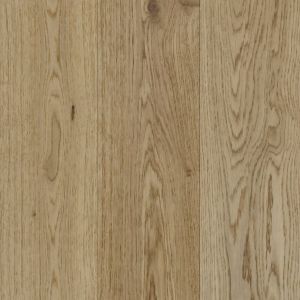 Quercus | Patraea