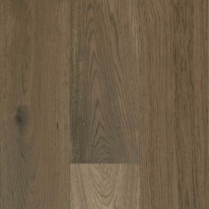 Quercus | Aliena