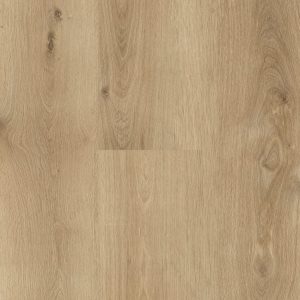 Aspire RCB 8mm | Chicory