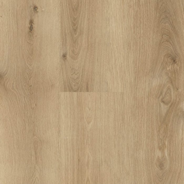 Aspire RCB 8 mm - Chicory