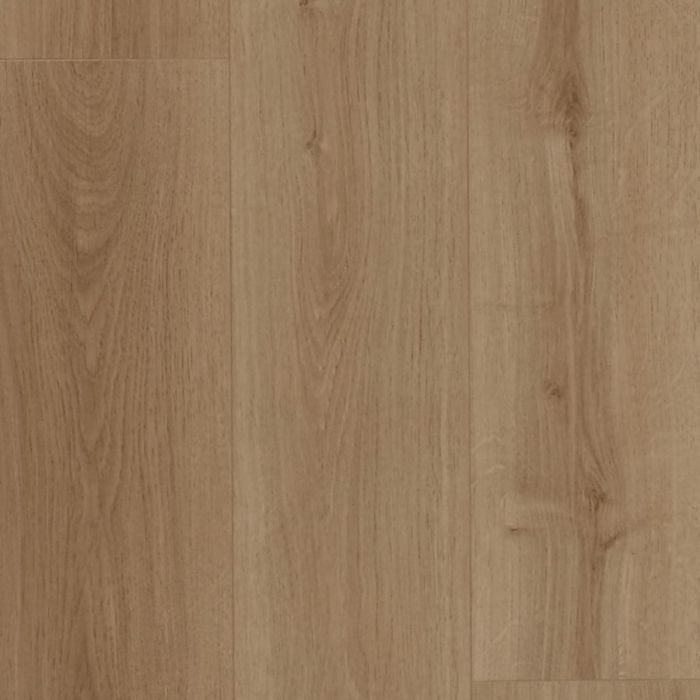 Desert Natural Oak