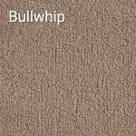 Bullwhip