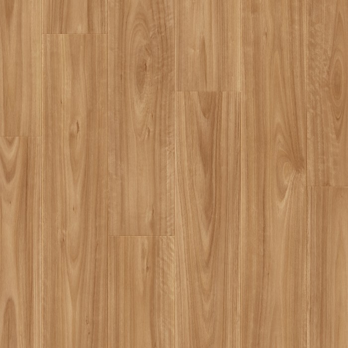 Impressive Ultra Blackbutt